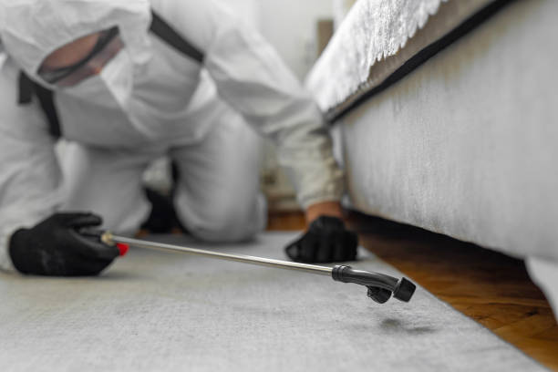 Professional Termite Control technician working in Taft, FL