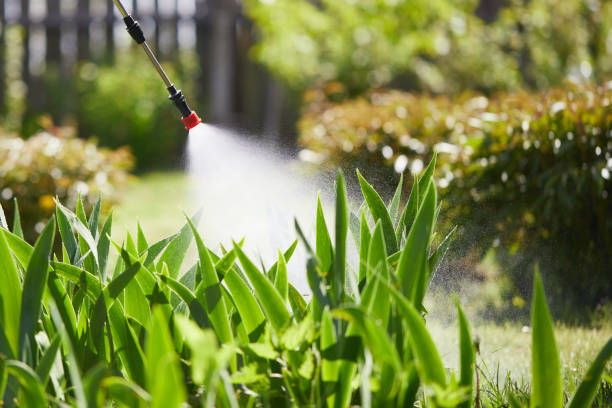 24/7 Emergency Termite Control experts in Taft, FL